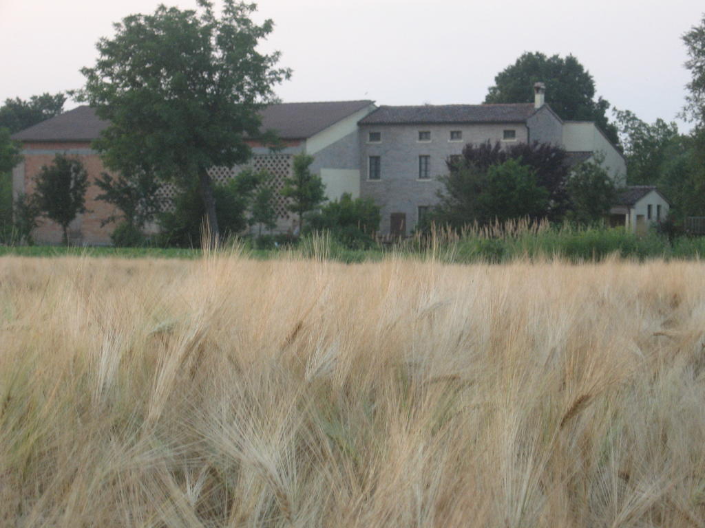 הוילה Cesole Agriturismo La Rovere מראה חיצוני תמונה