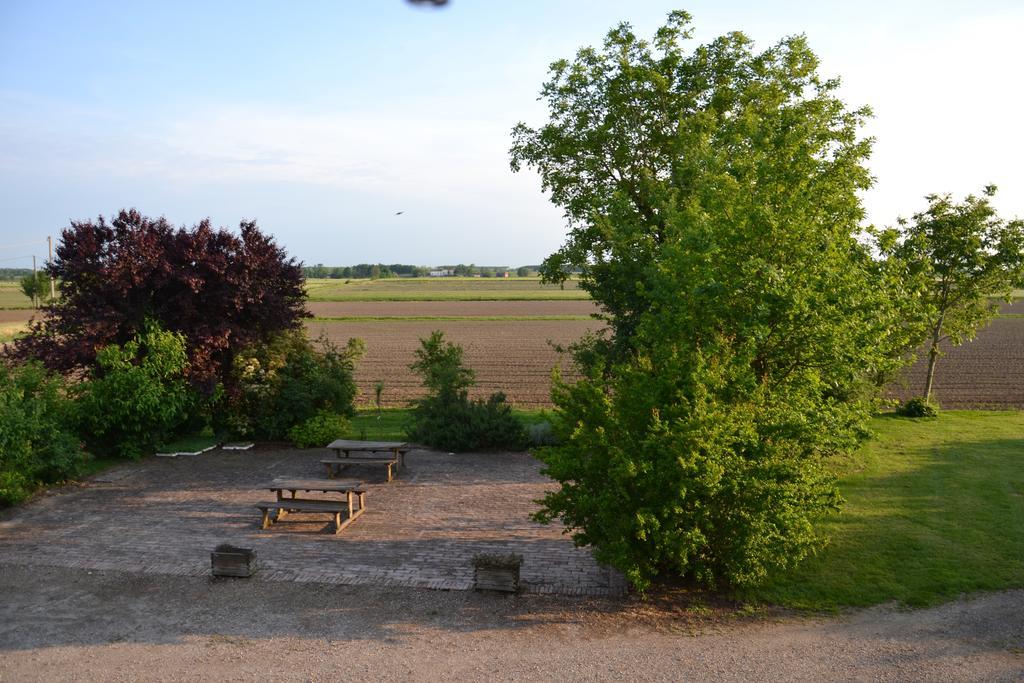 הוילה Cesole Agriturismo La Rovere מראה חיצוני תמונה